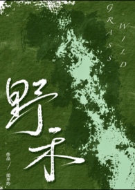 野禾(伪兄妹、bdsm) 野禾(伪兄妹、bdsm)